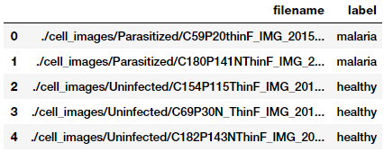 Datasets