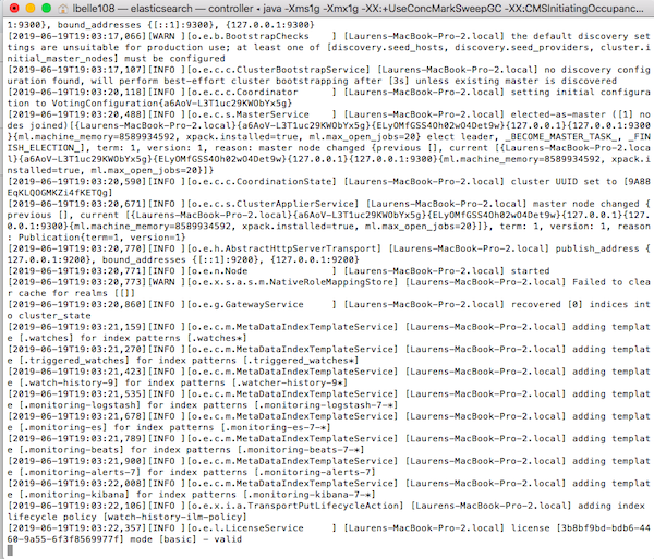 Terminal output when running Elasticsearch.