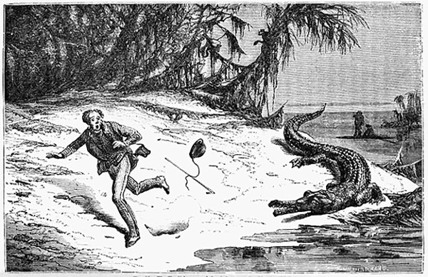 Man being chased by an alligator