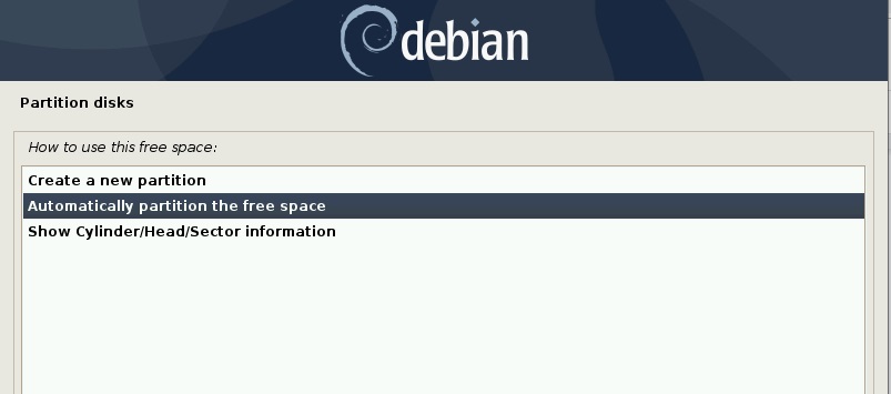 自動為空餘空間分區-Debain10