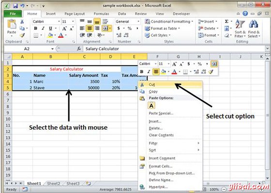 Cut Selected data with Right Click