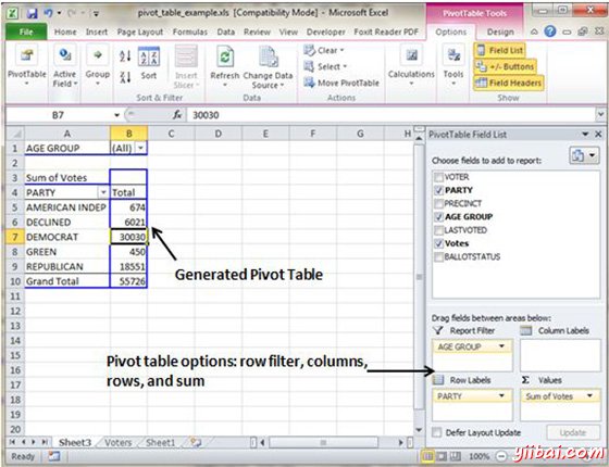 Pivot Table Example Data